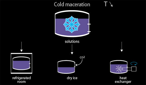 maceration.jpg