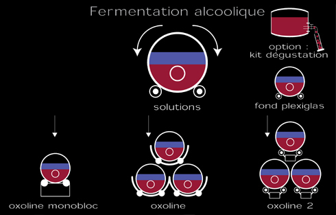 fermentation.jpg