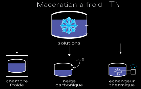 maceration.jpg